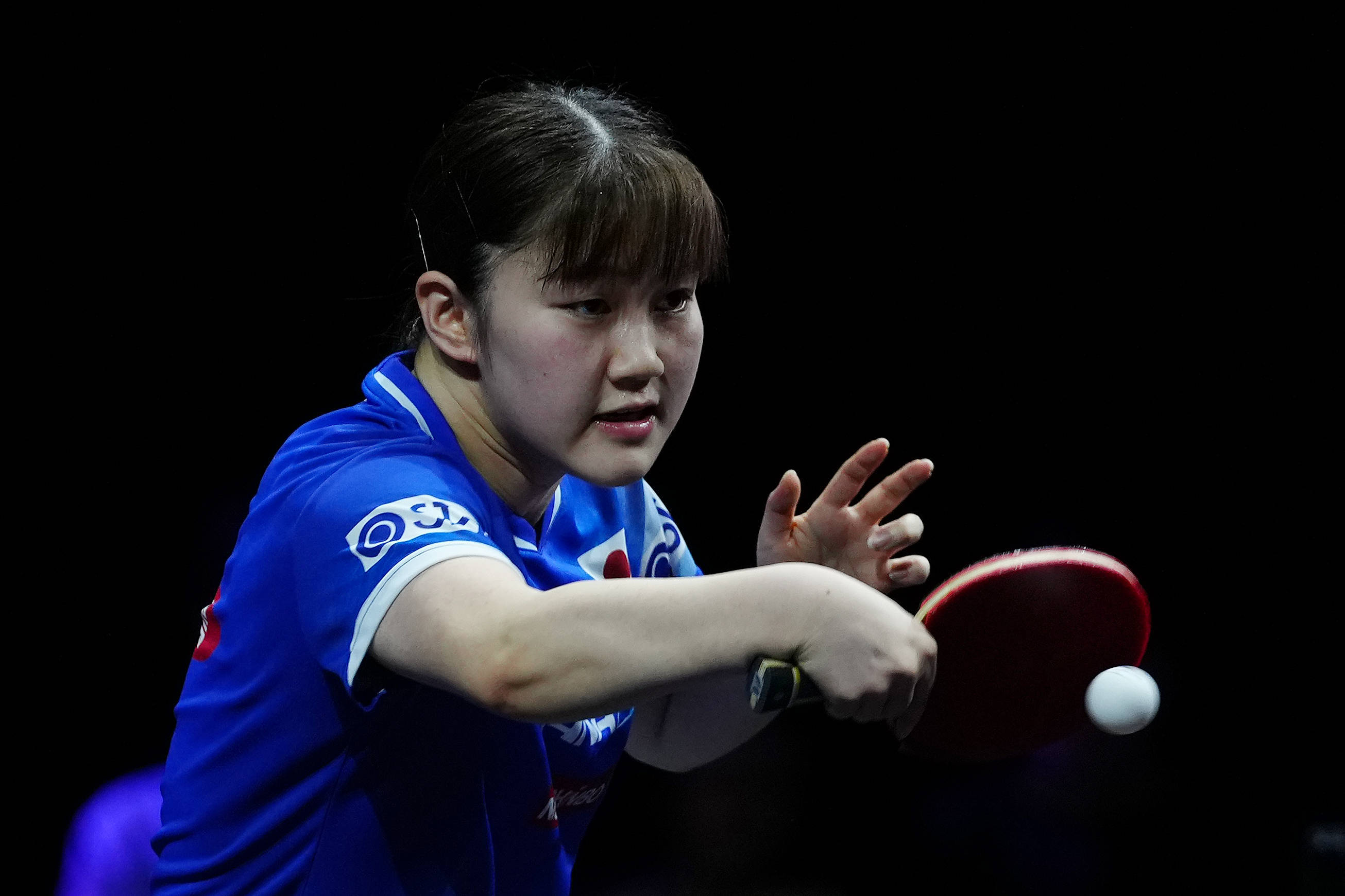 莫塔有机会 莫塔有机会